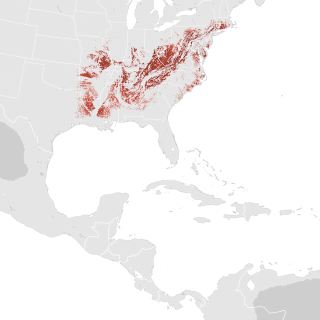 Abundance Map