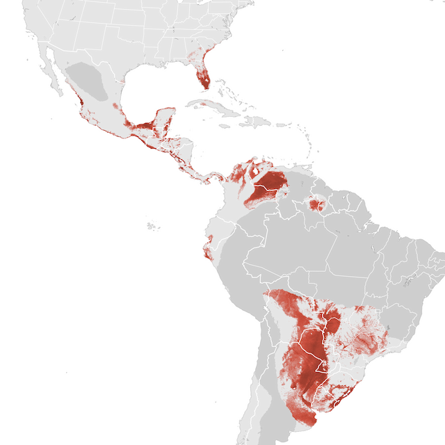 Abundance Map