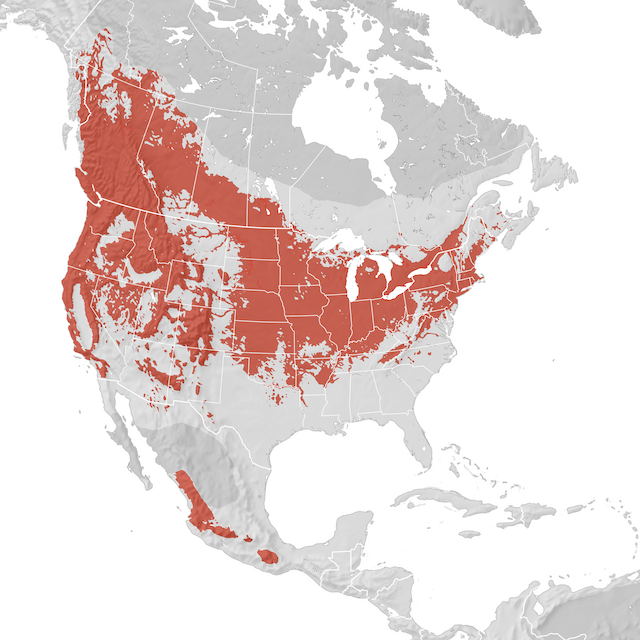 Range Map