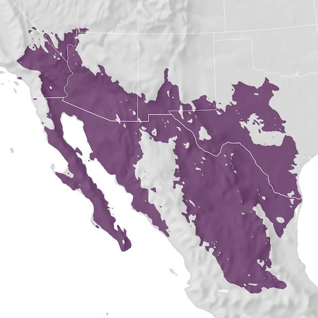 Range Map