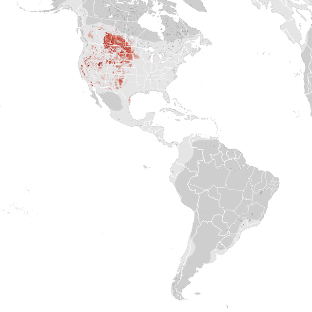 Abundance Map