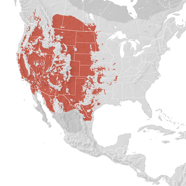 Range Map