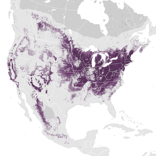 Abundance Map