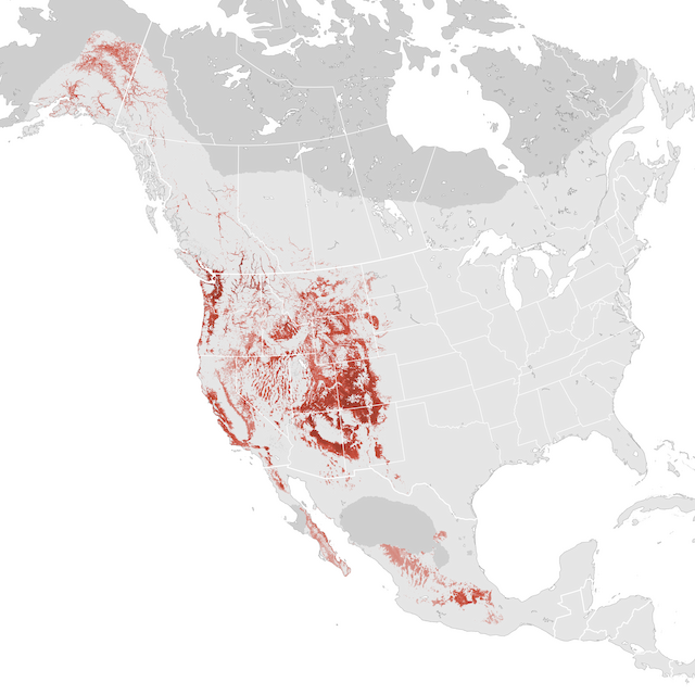 Abundance Map