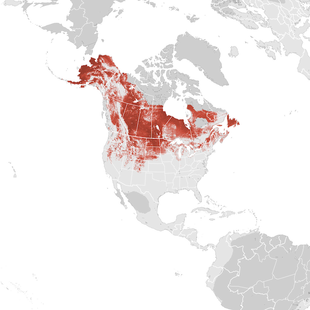 Abundance Map