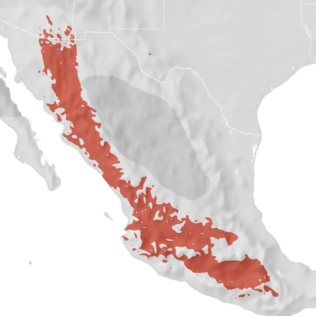 Range Map