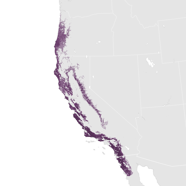 Abundance Map