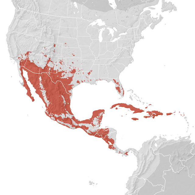 Range Map