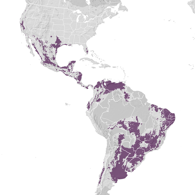 Range Map