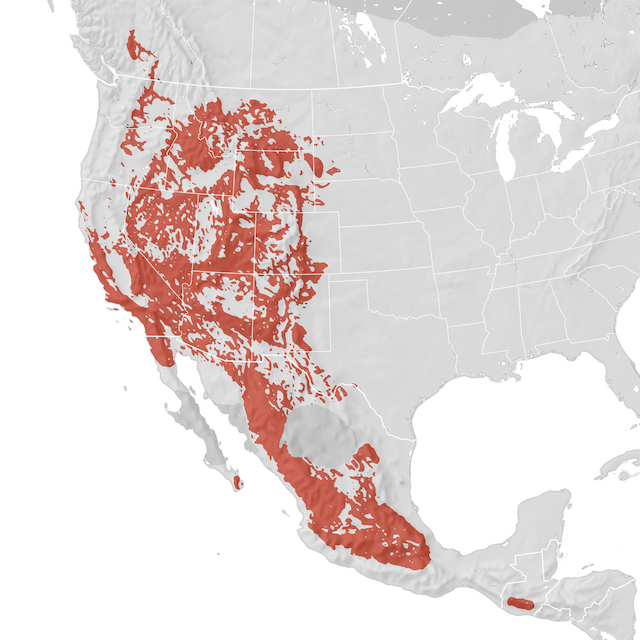 Range Map
