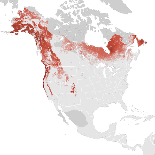 Abundance Map