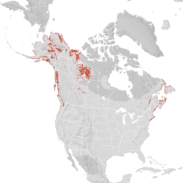 Range Map