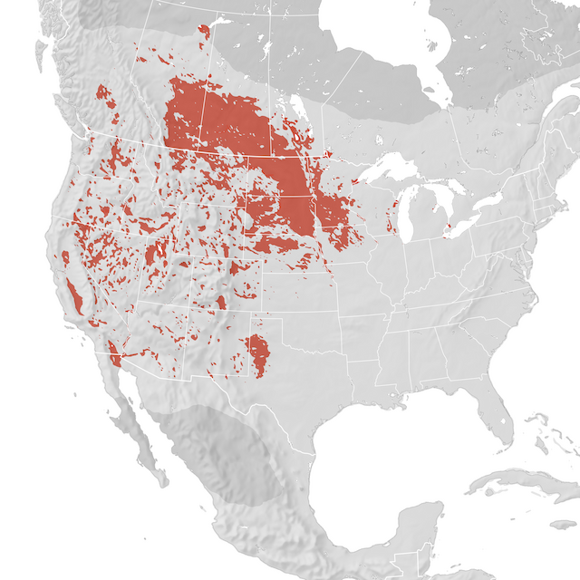 Range Map