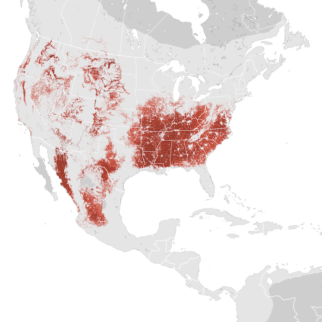 Abundance Map