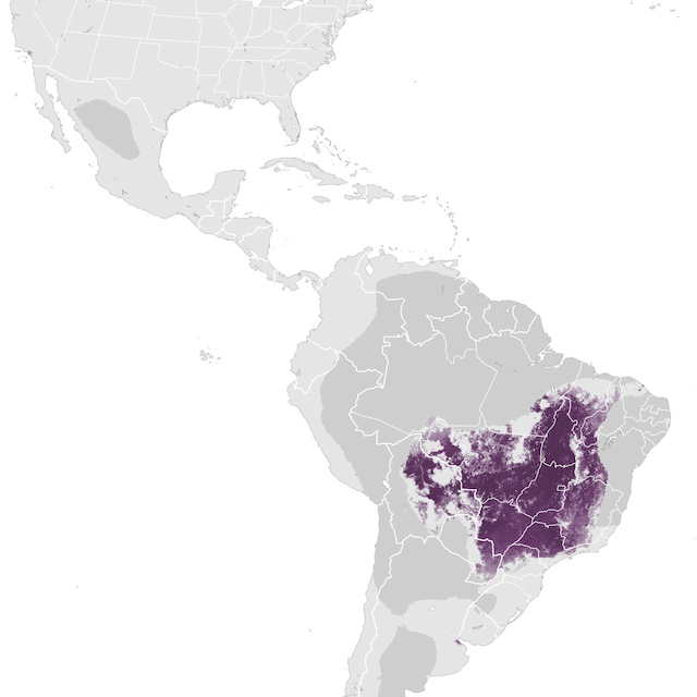 Abundance Map