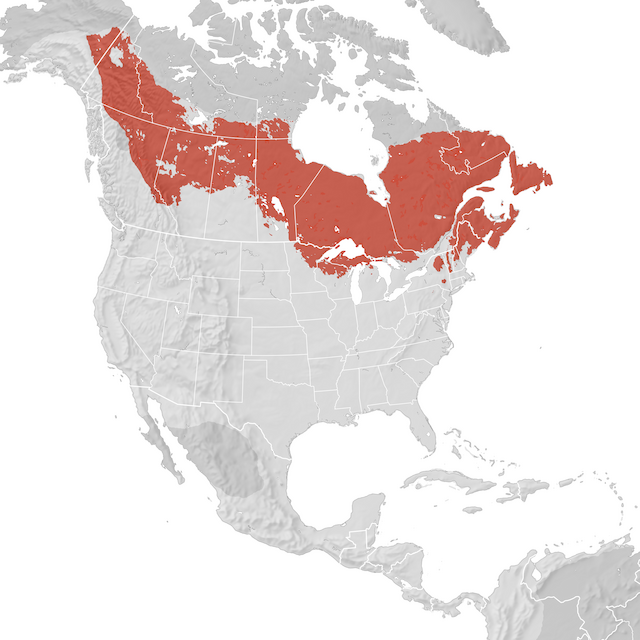 Range Map
