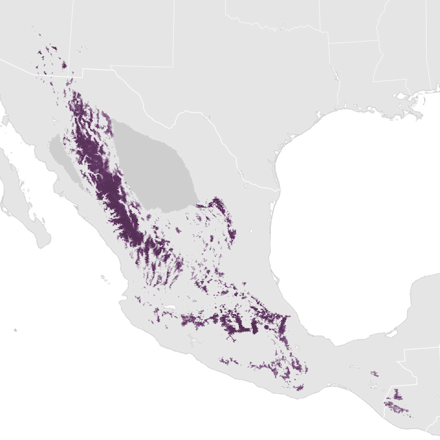 Abundance Map