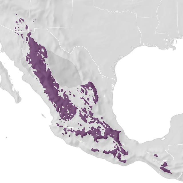 Range Map