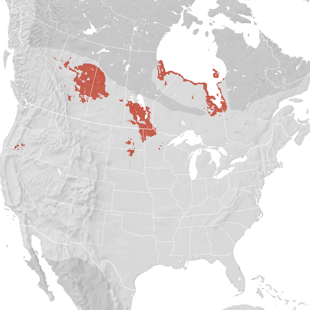 Range Map