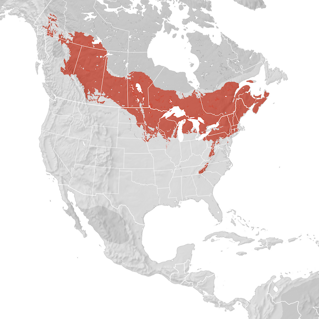 Range Map