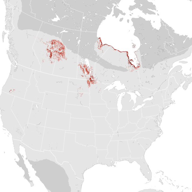 Abundance Map