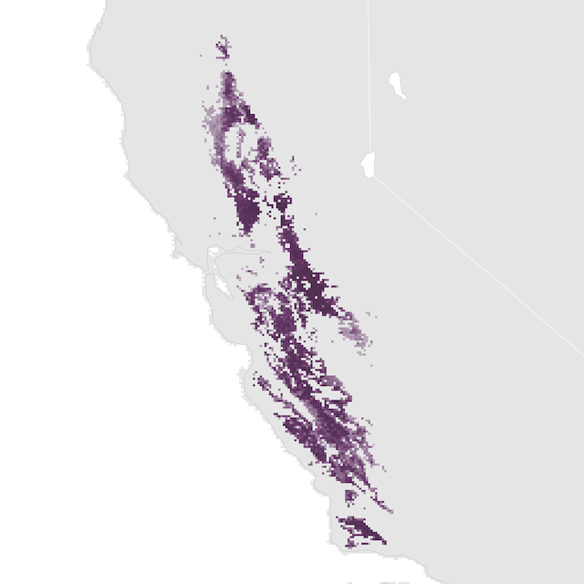 Abundance Map