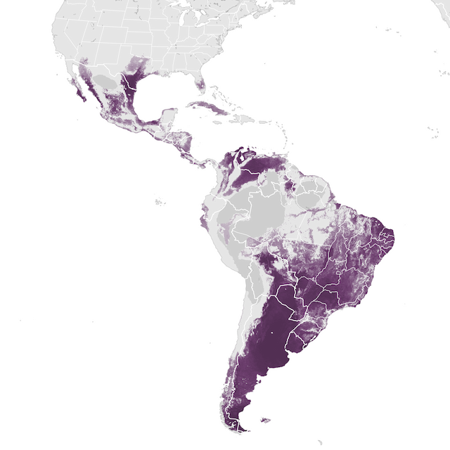 Abundance Map