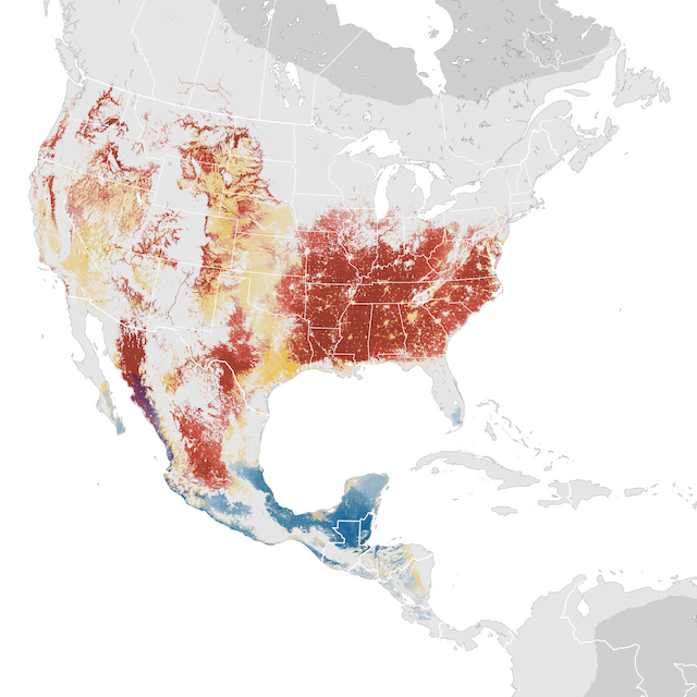 Abundance Map
