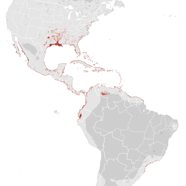 Abundance Map