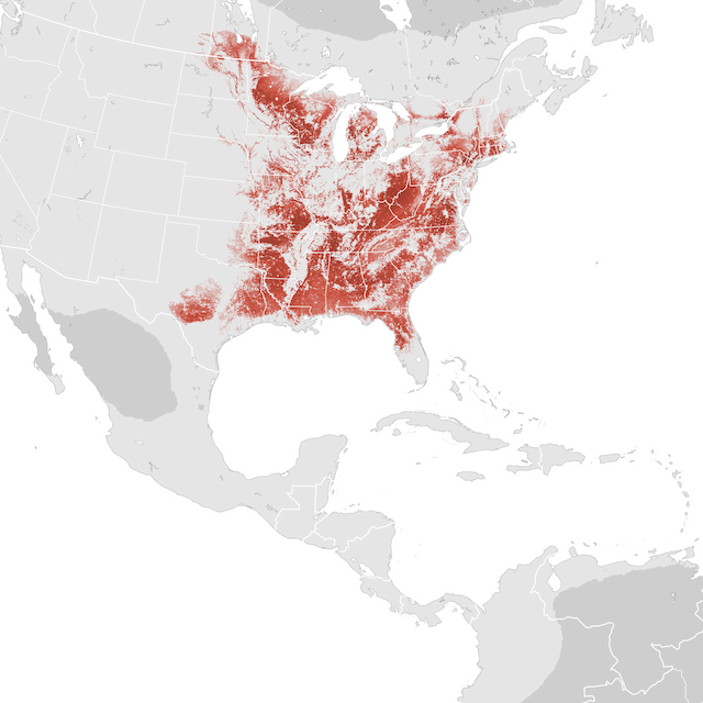 Abundance Map