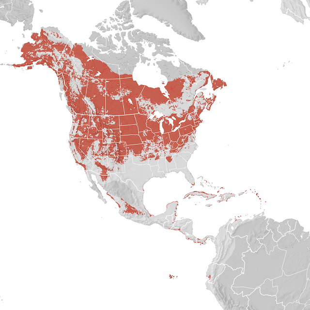 Range Map