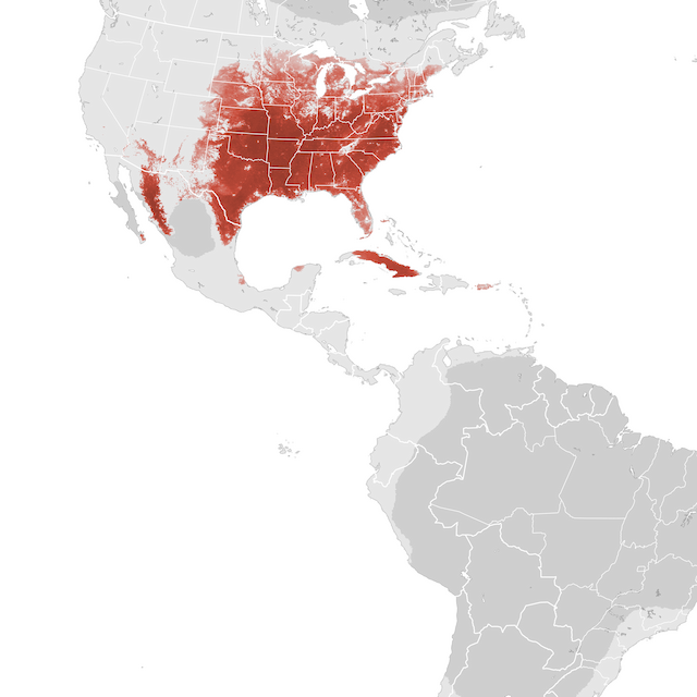Abundance Map