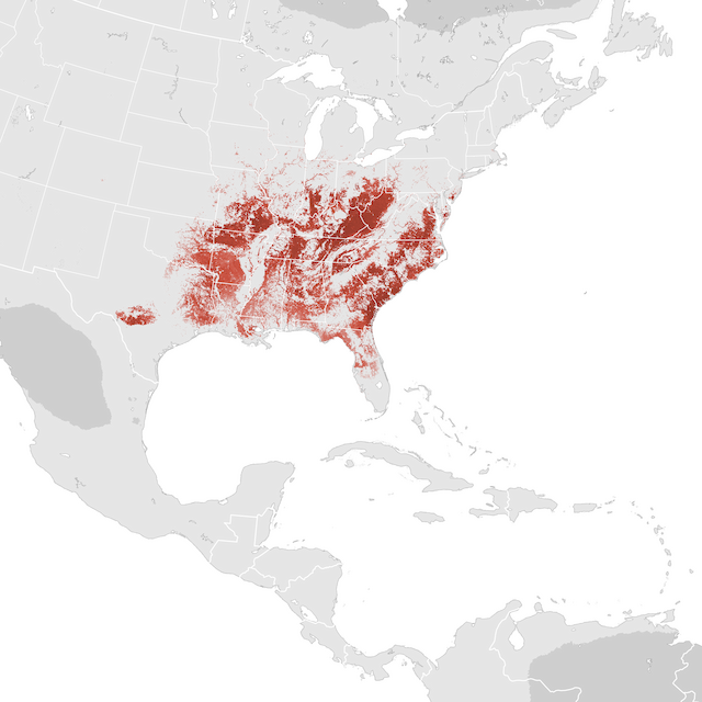 Abundance Map