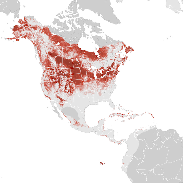 Abundance Map