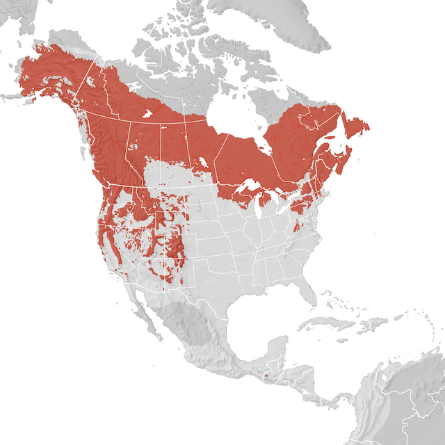Range Map