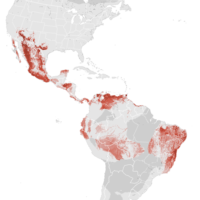 Abundance Map
