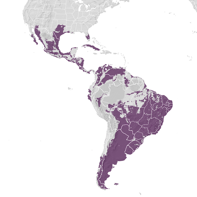 Range Map