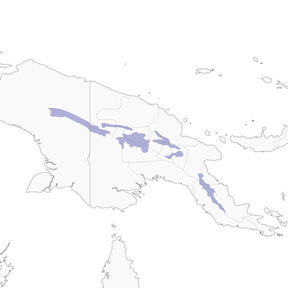 Distribution of the Crested Satinbird - Range Map