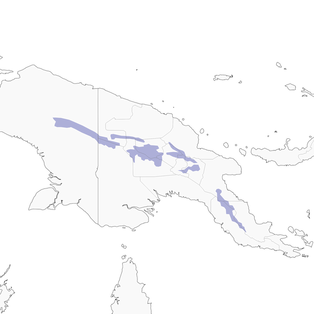 Distribution of the Crested Satinbird - Crested Satinbird - 
