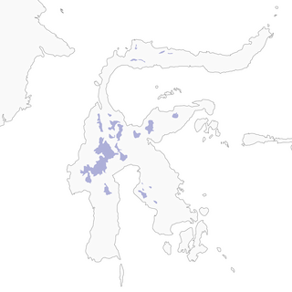 Distribution of the Great Shortwing - Range Map