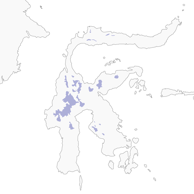 Distribution of the Great Shortwing - Great Shortwing - 