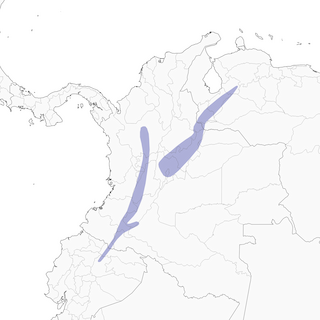 Distribution of the Black-collared Jay - Range Map