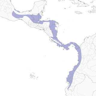 Distribution of the Variable Seedeater - Range Map