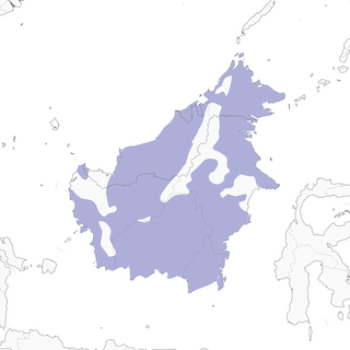 Distribution of the Charlotte's Bulbul - Range Map