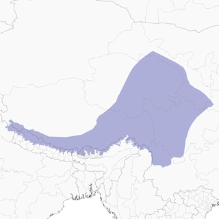 Distribution of the Himalayan Beautiful Rosefinch - Range Map