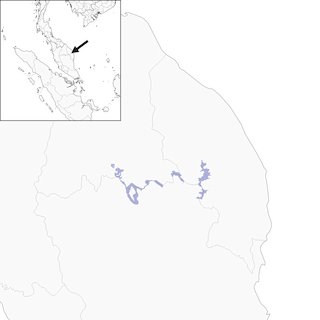 Distribution of the Malayan Crested Argus - Range Map