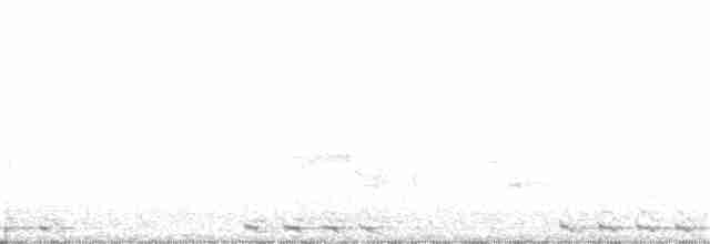 Black-billed Cuckoo - ML63419561