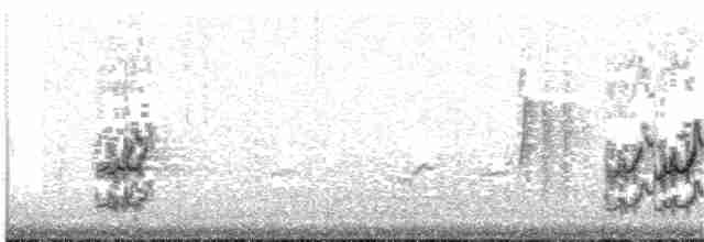 Полосатый калита - ML63424301