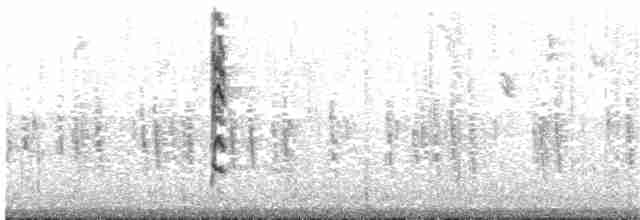 Tangara de Rieffer - ML63424781