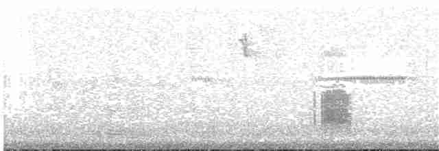 Kestane Taçlı Kotinga - ML63425121